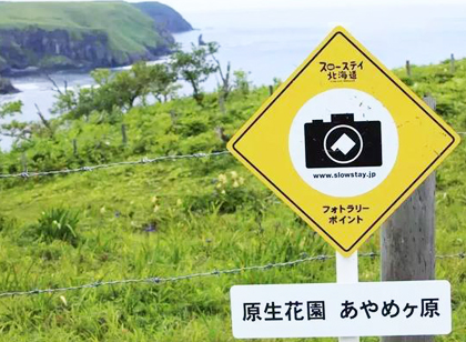 旅游景區(qū)標(biāo)識導(dǎo)視系統(tǒng)如何充分體現(xiàn)細(xì)節(jié)？看看日本設(shè)計(jì)師怎么做！